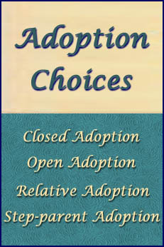Family Law - Adoption Choices